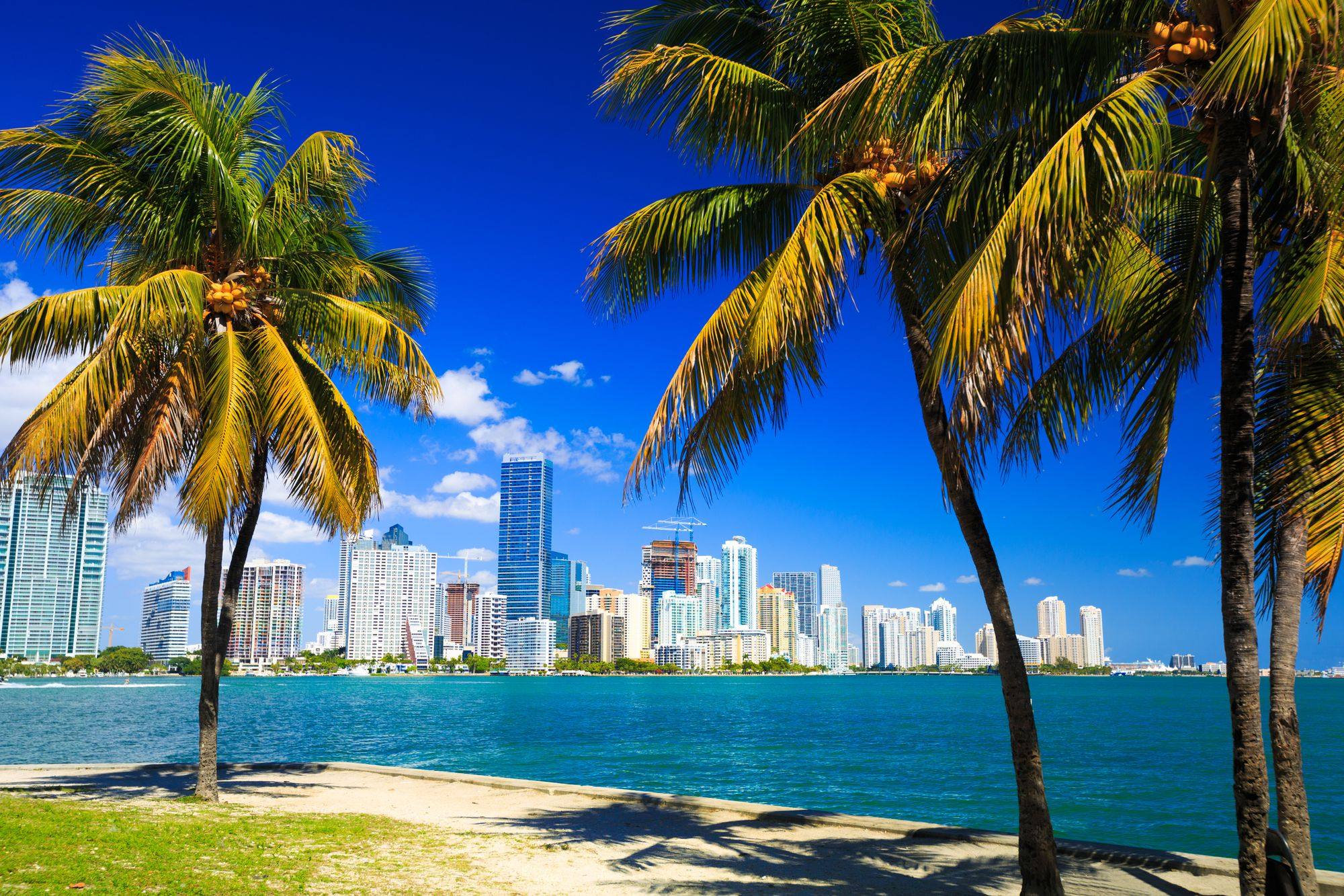 Skyline de Miami al atardecer